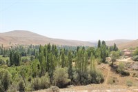 Buğdaylı Köyü