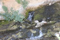 Kıraman Köyü 